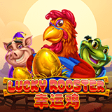 RTP joker solidplay99